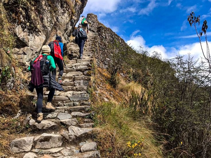 Trekking andino